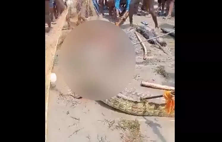 Crocodile beaten to death